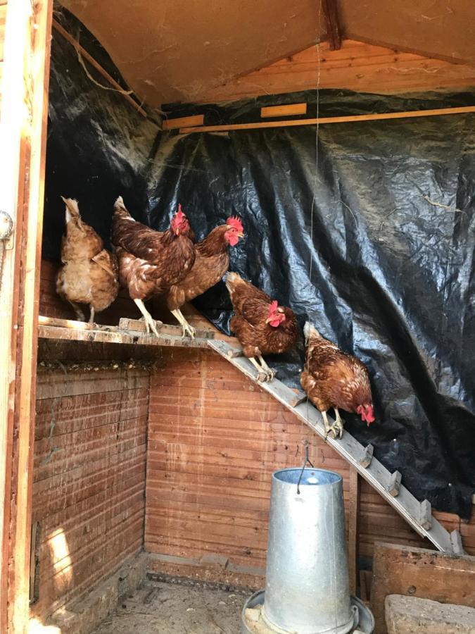 Allotjament Rural Солсона Екстериор снимка